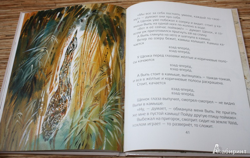 Иллюстрация 18 из 45 для Лесные разведчики - Виталий Бианки | Лабиринт - книги. Источник: КНИЖНОЕ ДЕТСТВО