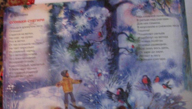 Иллюстрация 24 из 27 для Сказки зимушки-зимы | Лабиринт - книги. Источник: НаташкаVip