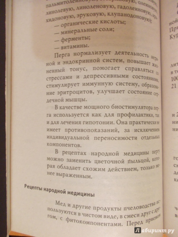 Иллюстрация 29 из 35 для Гипотония - Анастасия Красичкова | Лабиринт - книги. Источник: Mylene