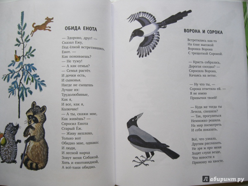 Идут стучат стоят молчат. Стихотворение Ладонщиков птицы. Ладонщиков стихи для детей. Ладонщиков стихи для детей про птиц.