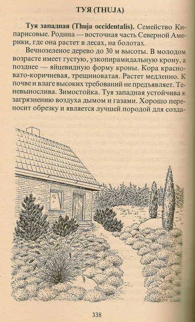 Иллюстрация 11 из 45 для Современный сад - Майя Александрова | Лабиринт - книги. Источник: _Елена_