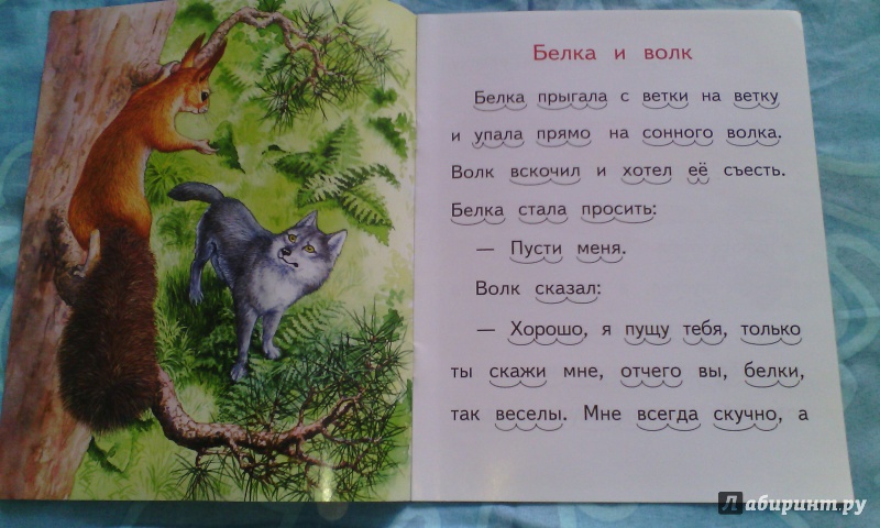 Иллюстрация 2 из 12 для Белка и волк - Лев Толстой | Лабиринт - книги. Источник: Северянка