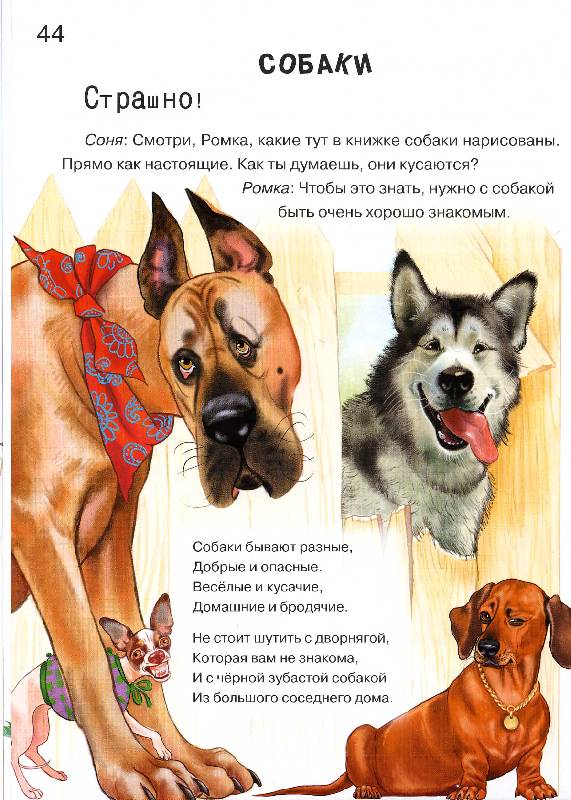 Иллюстрация 55 из 58 для Азбука храбрости - Наталия Чуб | Лабиринт - книги. Источник: РИВА