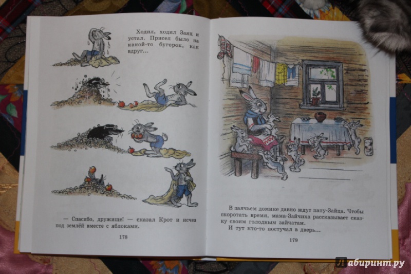 Иллюстрация 9 из 165 для Сказки и картинки - Владимир Сутеев | Лабиринт - книги. Источник: meyke