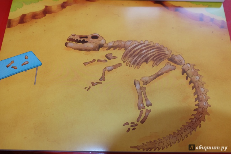 Иллюстрация 23 из 27 для Динозавры | Лабиринт - книги. Источник: Кленова  Екатерина Владимировна