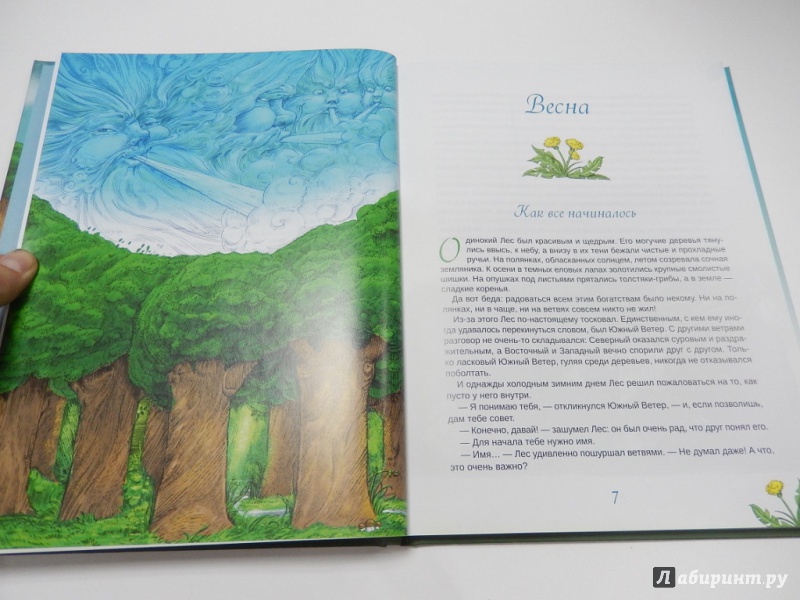Иллюстрация 3 из 19 для Сказки Изумрудного Леса - Елена Журек | Лабиринт - книги. Источник: dbyyb