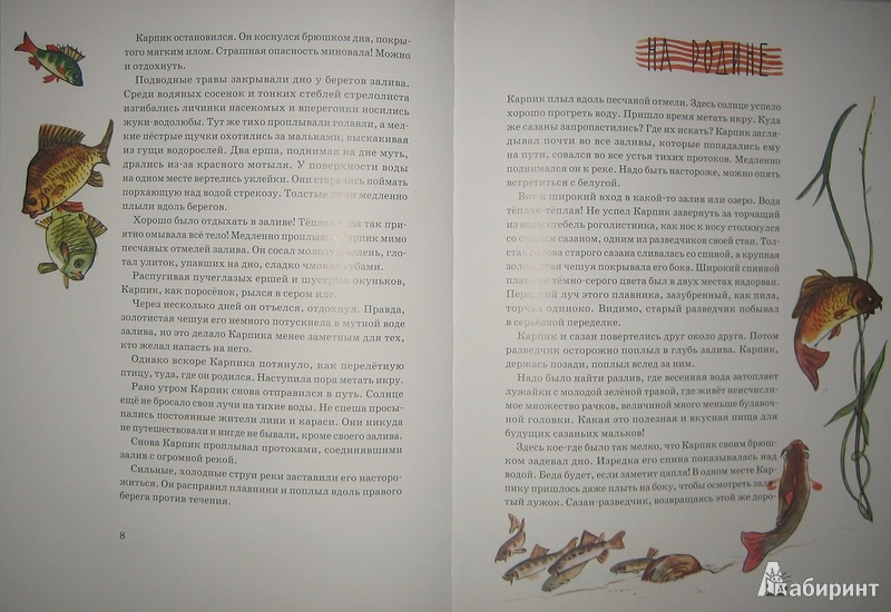 Иллюстрация 11 из 65 для Приключения Карпика - Андрей Клыков | Лабиринт - книги. Источник: Трухина Ирина