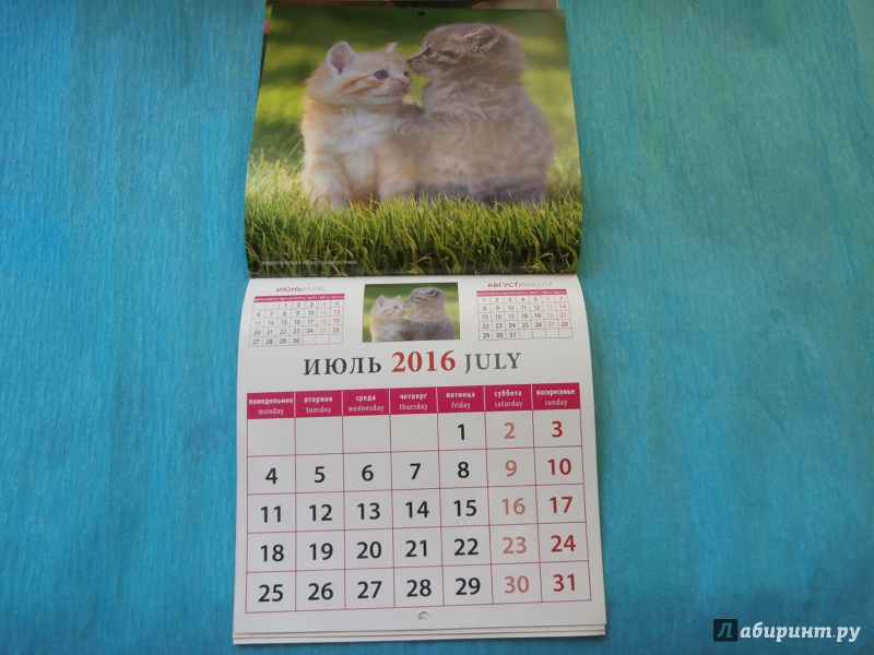 Иллюстрация 7 из 13 для Календарь настенный на 2016 год "Забавные котята" (30605) | Лабиринт - сувениры. Источник: Tiger.