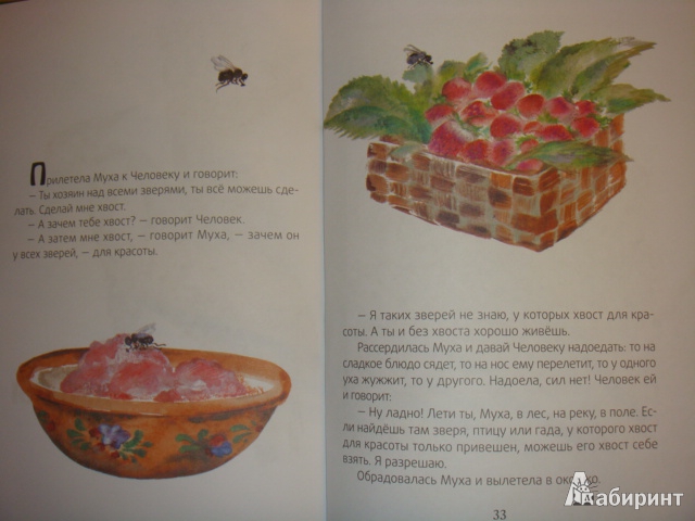 Иллюстрация 7 из 22 для Хвосты - Виталий Бианки | Лабиринт - книги. Источник: Цветина