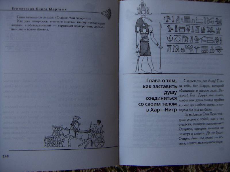 Иллюстрация 6 из 8 для Древнеегипетская книга мертвых. Слово устремленного к Свету | Лабиринт - книги. Источник: Алонсо Кихано