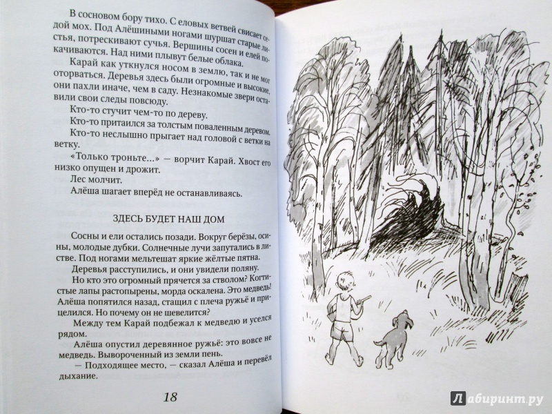 Иллюстрация 11 из 17 для Куда улетают ласточки - Вильям Козлов | Лабиринт - книги. Источник: Зеленая шляпа