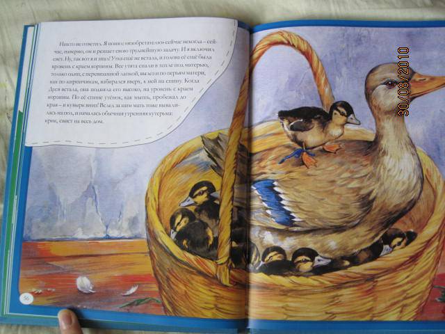 Иллюстрация 33 из 44 для Рассказы о животных для маленьких - Михаил Пришвин | Лабиринт - книги. Источник: васина лариса игоревна
