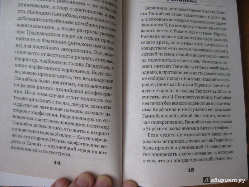 Иллюстрация 7 из 11 для Ганнибал - Рамиль Мавлютов | Лабиринт - книги. Источник: Колесов  Сергей Александрович