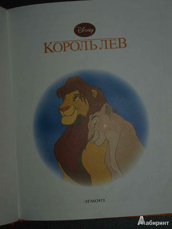 Иллюстрация 1 из 24 для Король Лев | Лабиринт - книги. Источник: Гусева  Анна Сергеевна