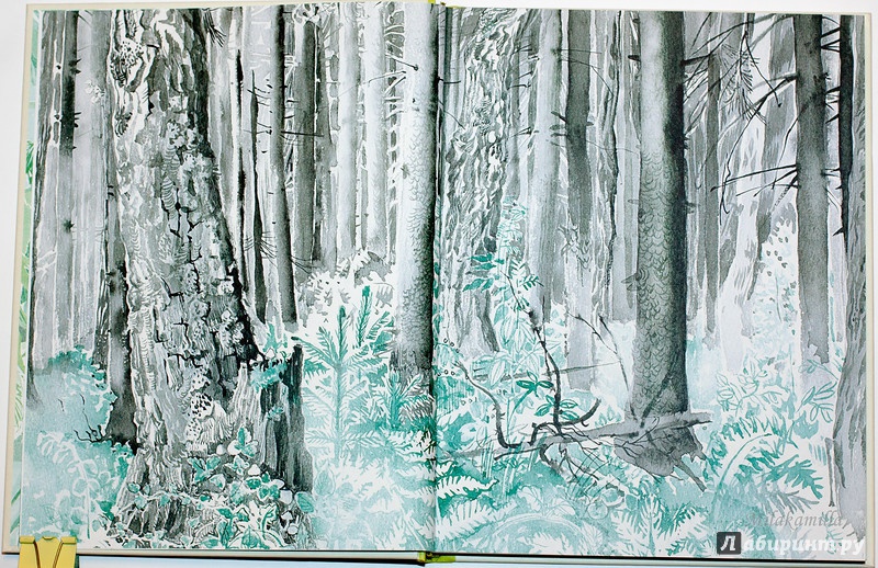 Иллюстрация 67 из 86 для Тяпкин и Леша - Майя Ганина | Лабиринт - книги. Источник: Букландия