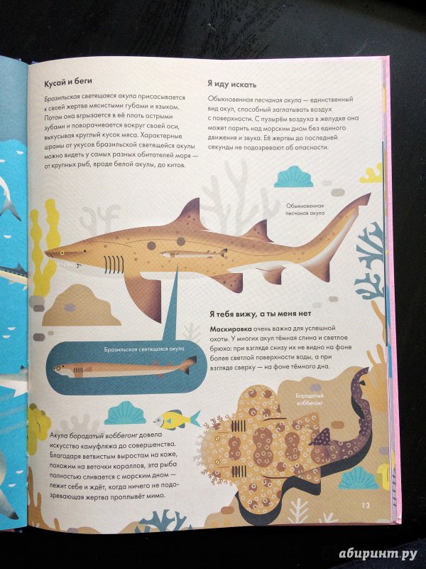 Иллюстрация 10 из 48 для Без ума от акул - Оуэн Дэйви | Лабиринт - книги. Источник: Лабиринт