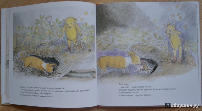 Иллюстрация 10 из 53 для Осень мишки Бруно - Гунилла Ингвес | Лабиринт - книги. Источник: Смолинова  Анастасия Олеговна