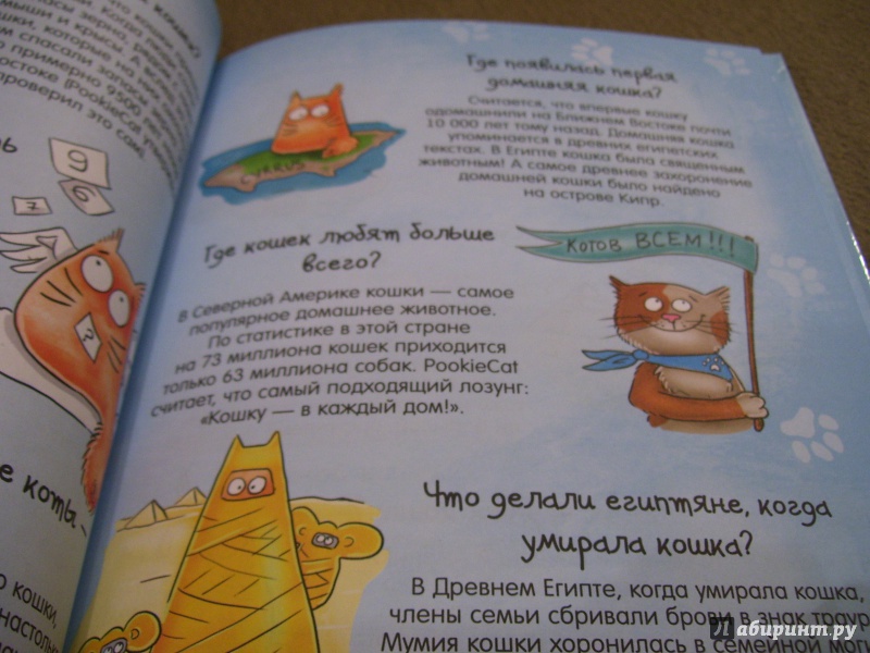 Иллюстрация 23 из 28 для Почему кот мурлычет и ещё 100 ответов на детские "почему" про кошек от PookieCat - Брюгген Ван | Лабиринт - книги. Источник: КошкаПолосатая