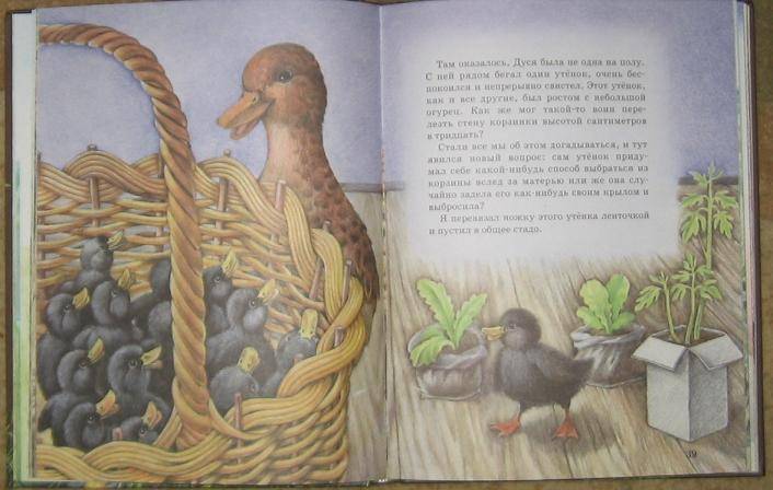Иллюстрация 38 из 47 для Рассказы о животных - Михаил Пришвин | Лабиринт - книги. Источник: акка
