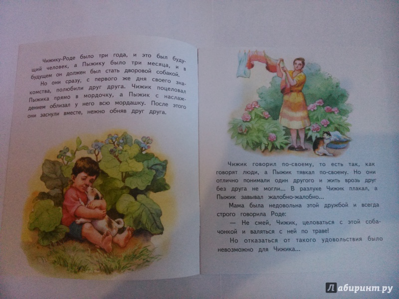 Иллюстрация 5 из 17 для Чижик и Пыжик - Александр Федоров-Давыдов | Лабиринт - книги. Источник: SoleNn