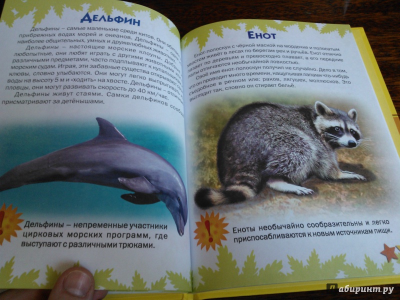 Иллюстрация 10 из 51 для Атлас животных для малышей - Татьяна Комзалова | Лабиринт - книги. Источник: Вероника Руднева