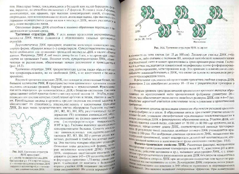 Иллюстрация 3 из 10 для Биохимия (3327) - Комов, Шведова | Лабиринт - книги. Источник: Черезова  Светлана Васильевна