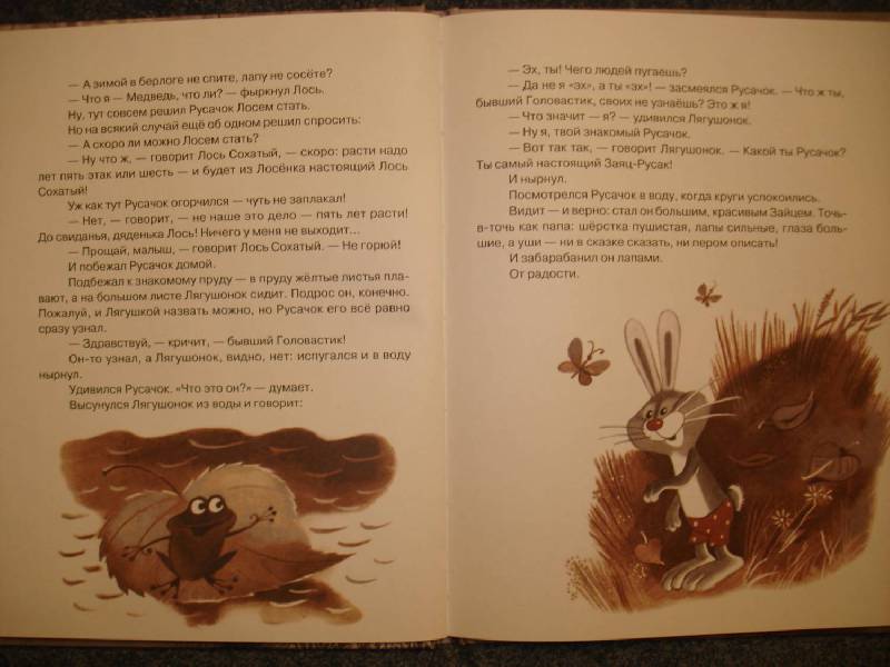 Иллюстрация 48 из 82 для Русачок - Борис Заходер | Лабиринт - книги. Источник: Сорокина  Лариса