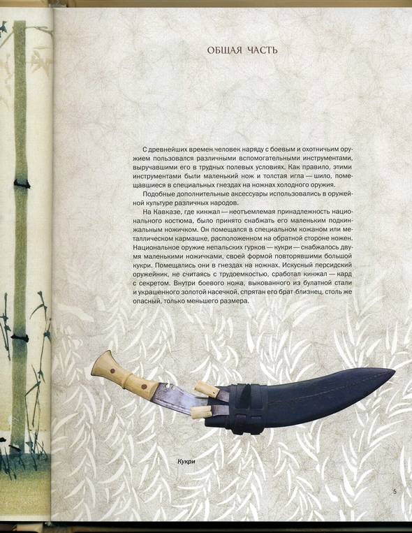Иллюстрация 5 из 30 для Кодзука. Маленький спутник японского меча - Евгений Скраливецкий | Лабиринт - книги. Источник: * Ольга *