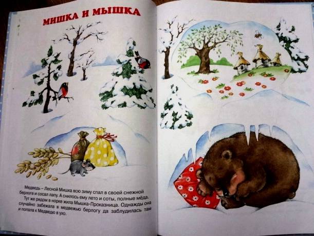 Иллюстрация 25 из 34 для Мишка и все остальные - Оксана Ушакова | Лабиринт - книги. Источник: kolobus