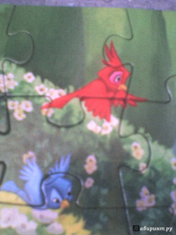 Иллюстрация 10 из 25 для Step Puzzle-60 "Disney. Спящая красавица" (81129) | Лабиринт - игрушки. Источник: Роза с шипами