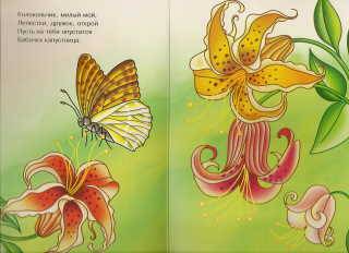 Иллюстрация 3 из 4 для Бабочки и мотыльки | Лабиринт - книги. Источник: _Елена_