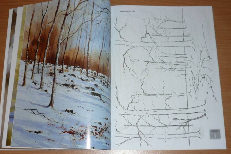 Иллюстрация 22 из 28 для Рисуем по схемам. Деревья и леса. Акварель - Джефф Керси | Лабиринт - книги. Источник: Pam