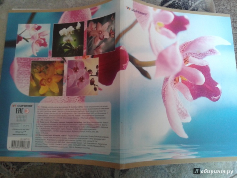 Иллюстрация 6 из 6 для Тетрадь общая "Orchid" (48 листов, клетка, в ассортименте) (811467-55) | Лабиринт - канцтовы. Источник: Ксения