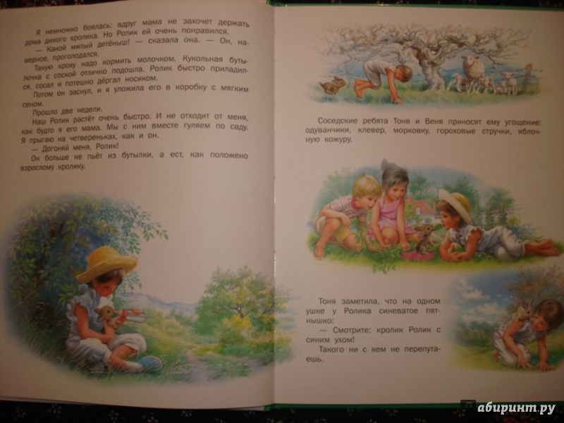 Иллюстрация 8 из 45 для Маруся - подружка всех зверят. В лесу. В деревне - Делаэ, Марлье | Лабиринт - книги. Источник: Сорокина  Лариса
