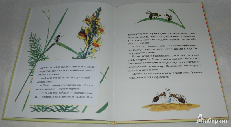 Иллюстрация 18 из 32 для Мышонок заблудился - Нина Павлова | Лабиринт - книги. Источник: Книжный кот