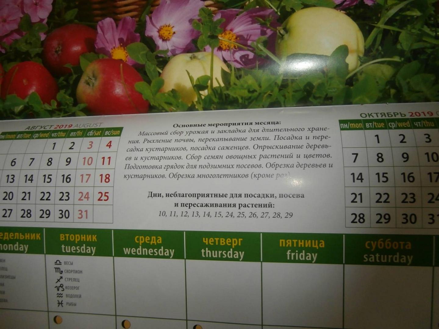 Лунный календарь огородника на март 2024 беларусь