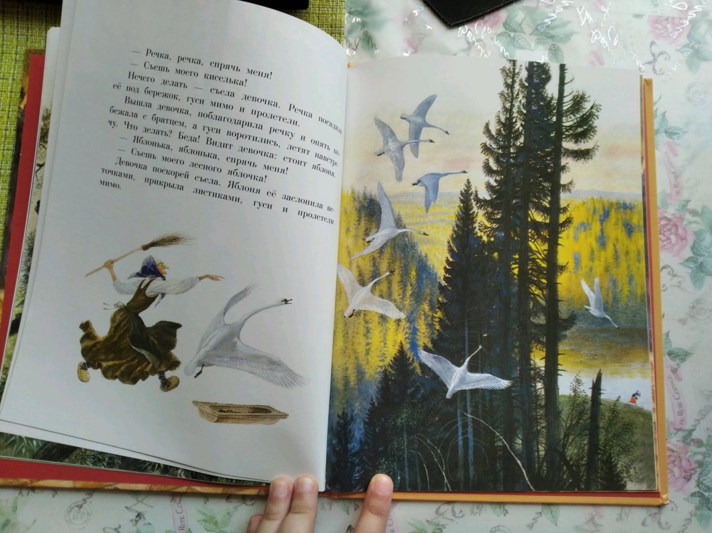 Иллюстрация 32 из 49 для Гуси-лебеди. Царевна-лягушка | Лабиринт - книги. Источник: Лабиринт