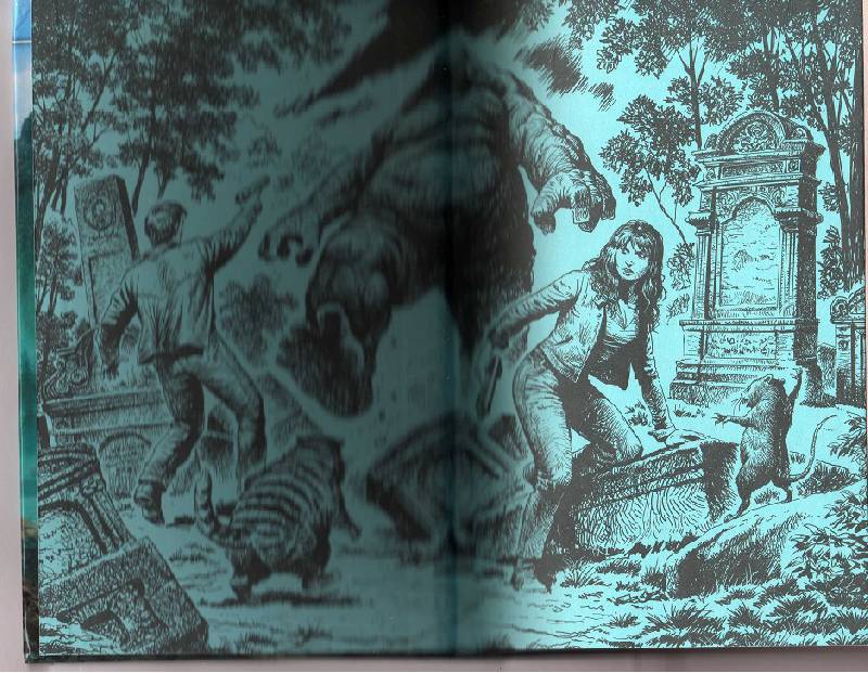 Иллюстрация 11 из 24 для Приключения оборотней - Белянин, Черная | Лабиринт - книги. Источник: Great Player