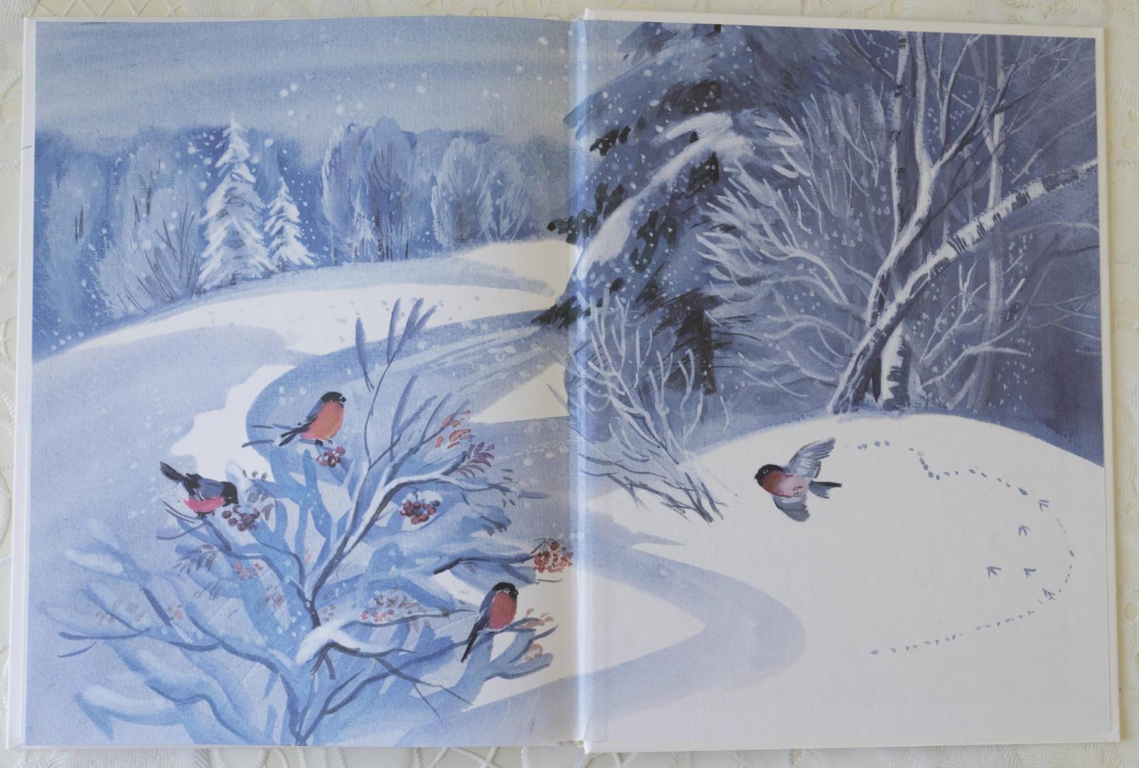 Иллюстрация 17 из 54 для Беличья память - Михаил Пришвин | Лабиринт - книги. Источник: kvinden