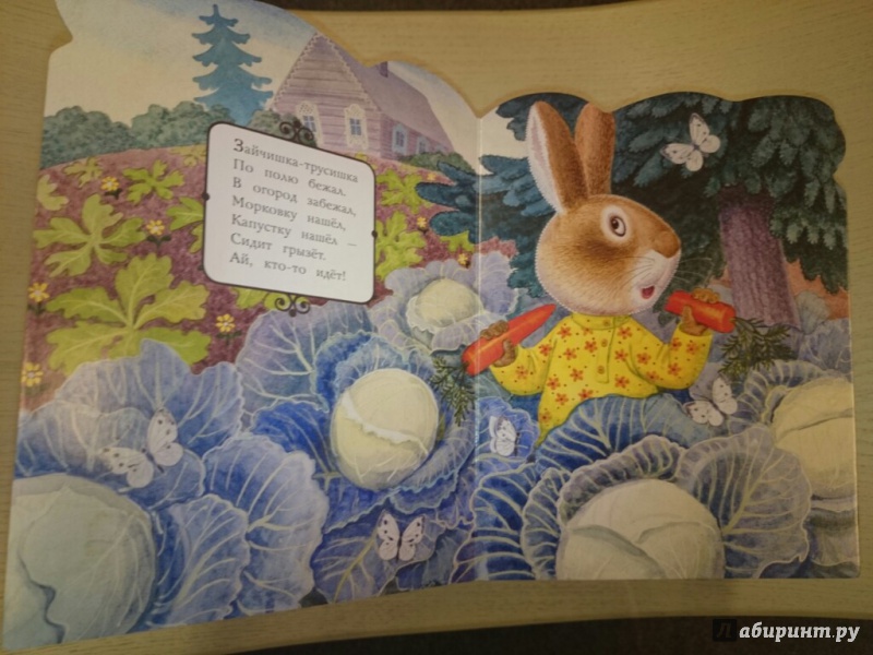 Иллюстрация 6 из 18 для Зайка-заинька | Лабиринт - книги. Источник: _  Lisa_Boom