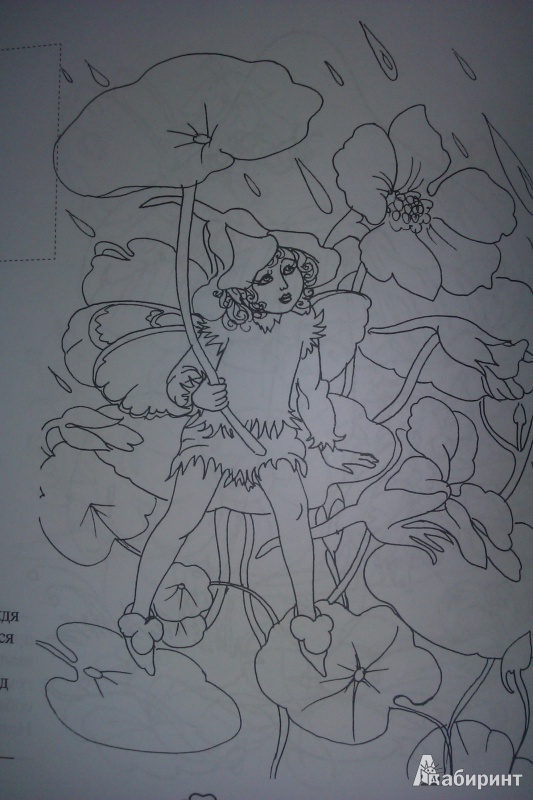 Иллюстрация 5 из 7 для Маленькие феи. Книжка-раскраска для юных леди | Лабиринт - книги. Источник: elvladi