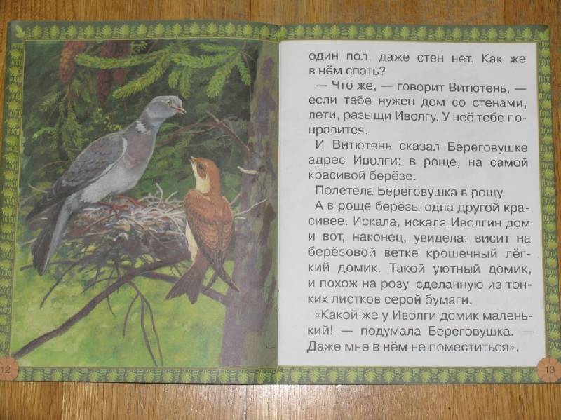 Иллюстрация 23 из 27 для Лесные домишки - Виталий Бианки | Лабиринт - книги. Источник: ВВС