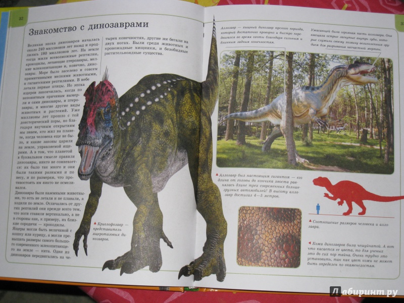 Иллюстрация 12 из 34 для Динозавры | Лабиринт - книги. Источник: vs