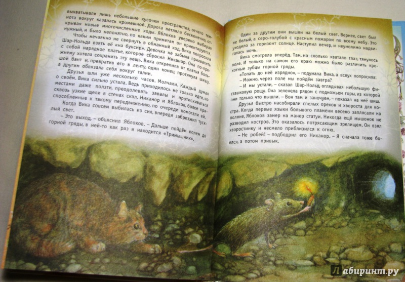 Иллюстрация 36 из 37 для Тайна гранатовых зерен - Ирина Антонова | Лабиринт - книги. Источник: Бог в помощь