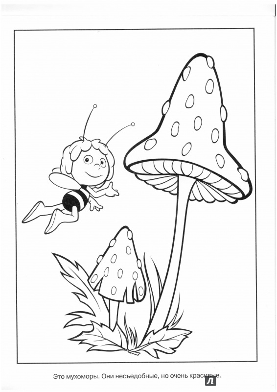 Иллюстрация 7 из 15 для Волшебная раскраска. Пчелка Майя (№14009) | Лабиринт - книги. Источник: Lechman@list.ru