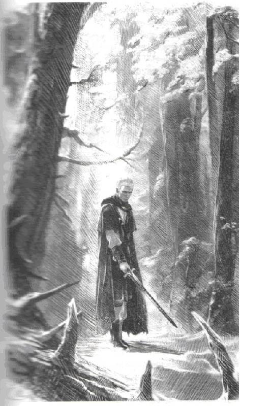 Иллюстрация 4 из 13 для Странствия мага. Том 2: Цикл "Хранитель мечей". Книга 2 - Ник Перумов | Лабиринт - книги. Источник: Ааа  Ааа Ааа
