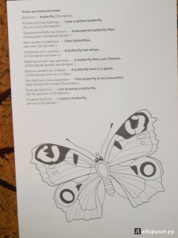 Иллюстрация 17 из 34 для Бабочки. Дидактический материал - Татьяна Куликовская | Лабиринт - книги. Источник: Наталья