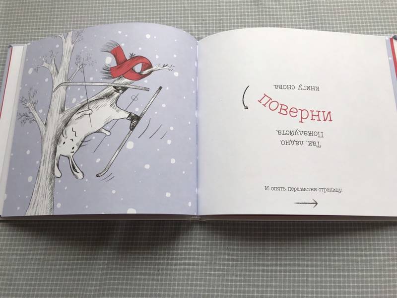 Иллюстрация 38 из 72 для Поехали! Лыжное приключение кролика - Клаудиа Руэда | Лабиринт - книги. Источник: Лабиринт
