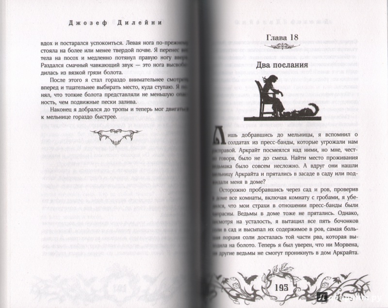 Иллюстрация 2 из 16 для Ошибка Ведьмака - Джозеф Дилейни | Лабиринт - книги. Источник: Zlatochka