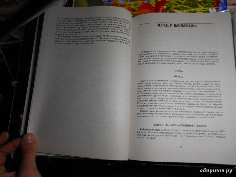 Иллюстрация 8 из 39 для Подарок садоводам и огородникам - Октябрина Ганичкина | Лабиринт - книги. Источник: Савина  Евгения